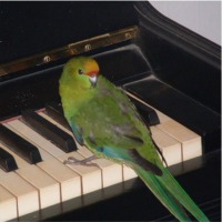 Aber musikalisch ist sie