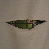 Neugieriger Blick durch die Abdeckung