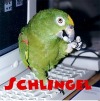 Schlingel